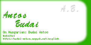 antos budai business card